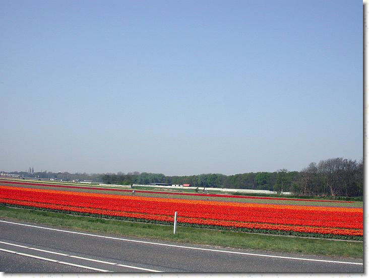 Næste billede